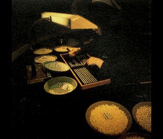 g 38 giappone 1983 3