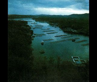 g 38 giappone 1983 4